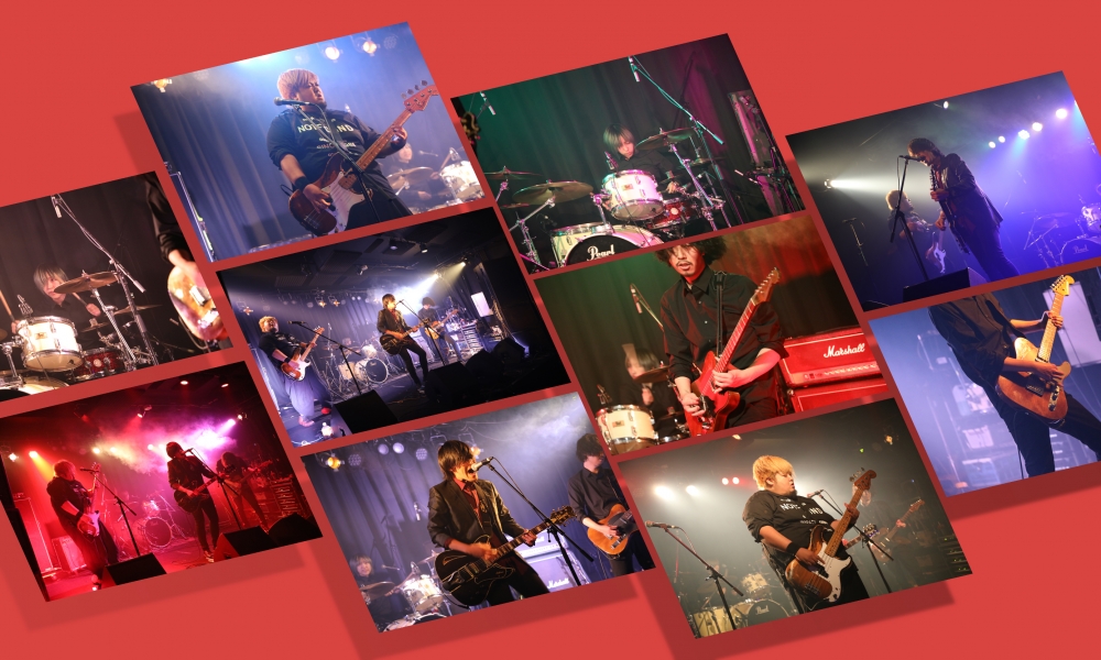 The Rodelia  | ライブ撮影