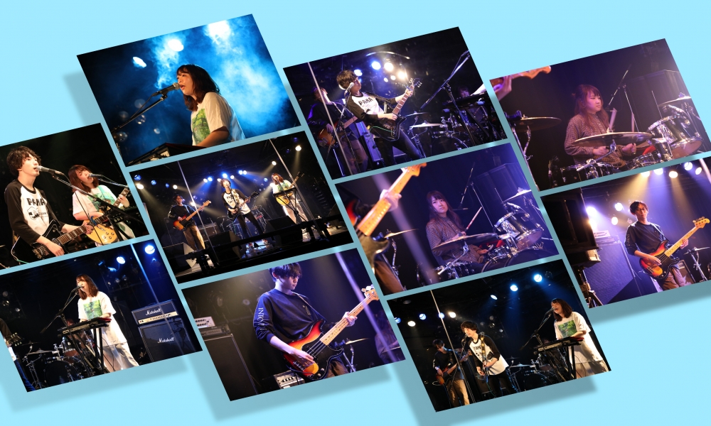 meh meh white sheeps | ライブ撮影